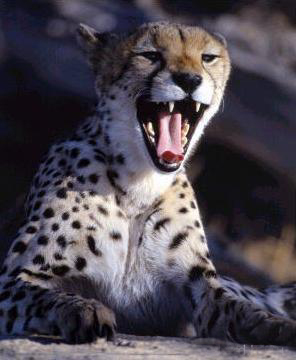 �� ����� � �� �����!